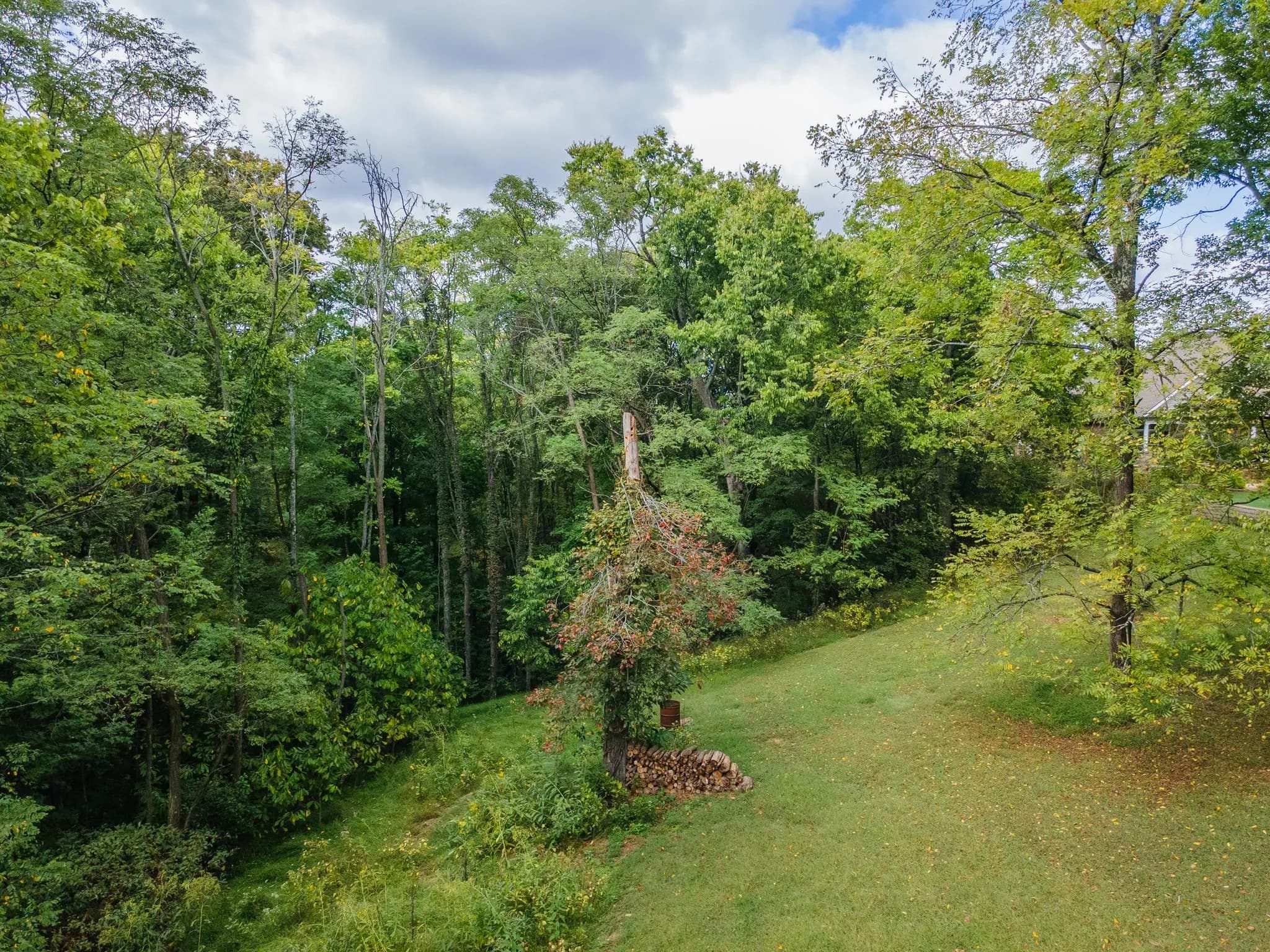 1202 Valarie Ln